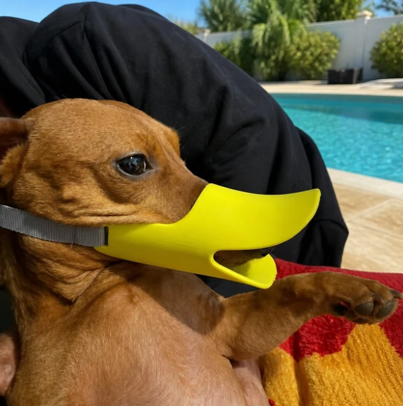 DuckGuard™