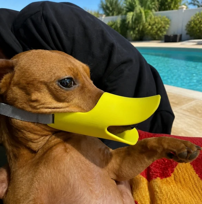 DuckGuard™