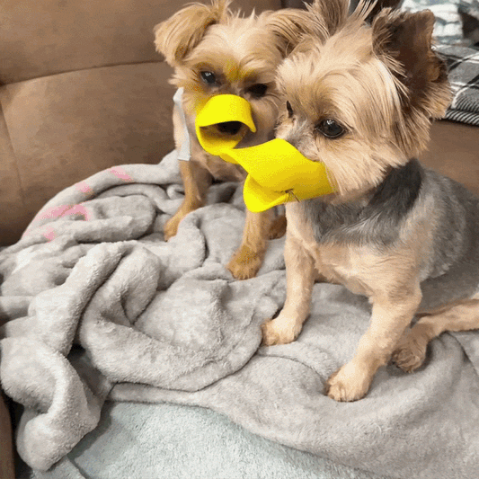 DuckGuard™