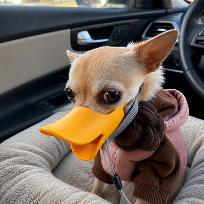 DuckGuard™